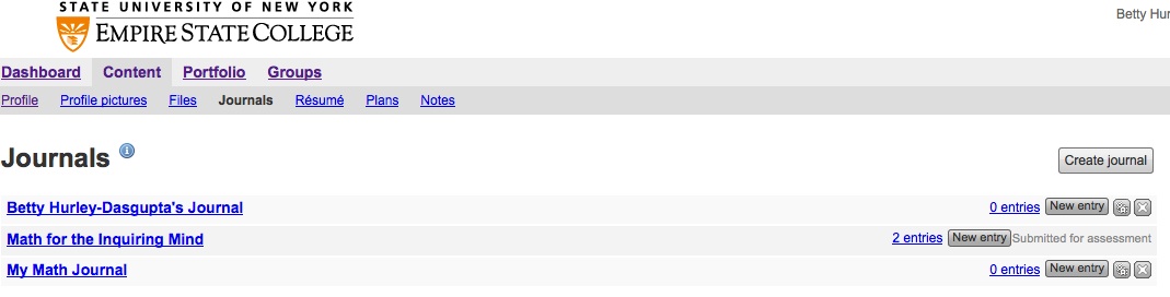 Mahara add entry.jpg